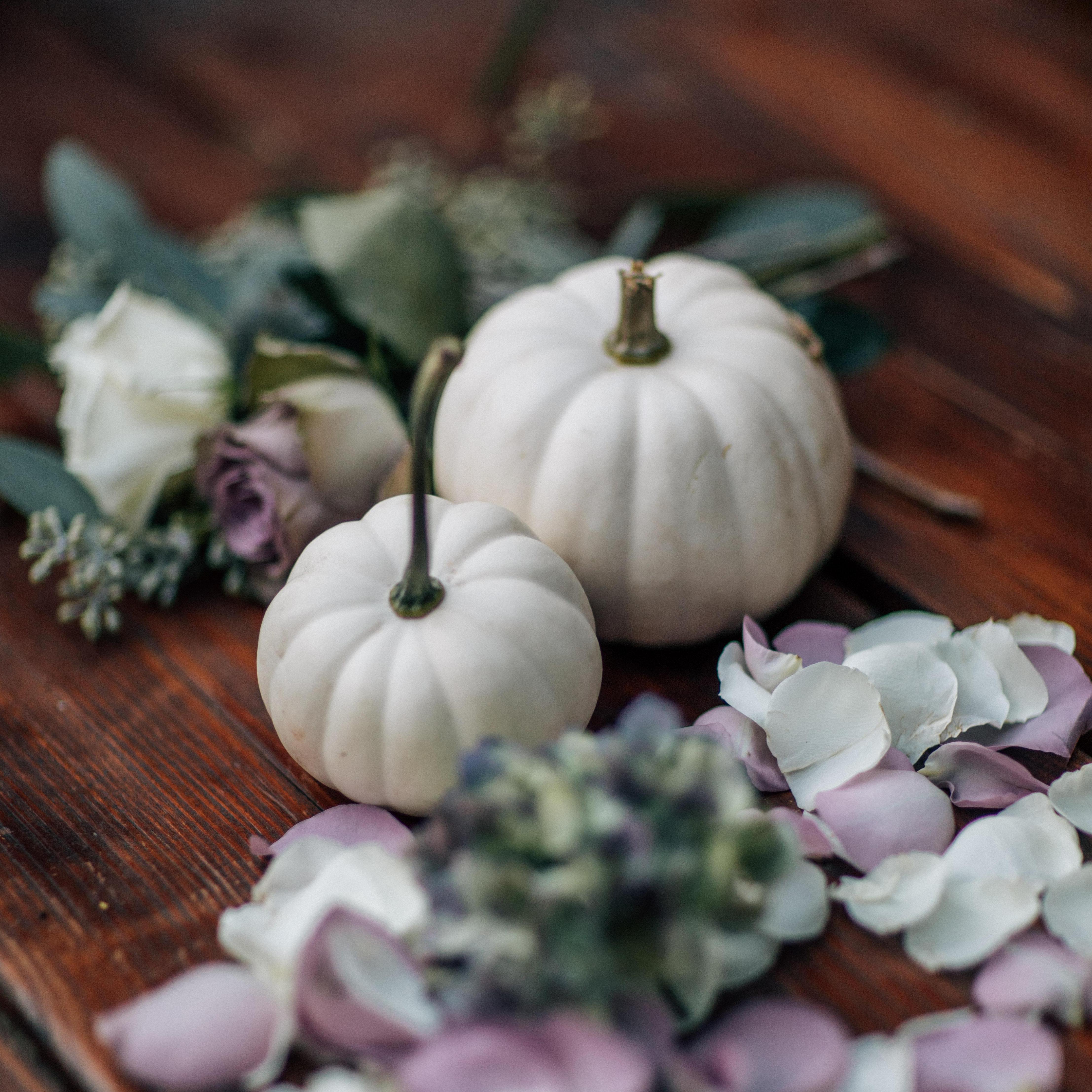 One of our favorite decorations - boo pumpkins!