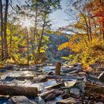Sweetwater Creek State Park