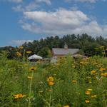 Mass Audubon's Drumlin Farm