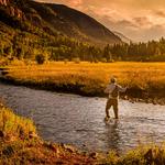 FLY FISHING