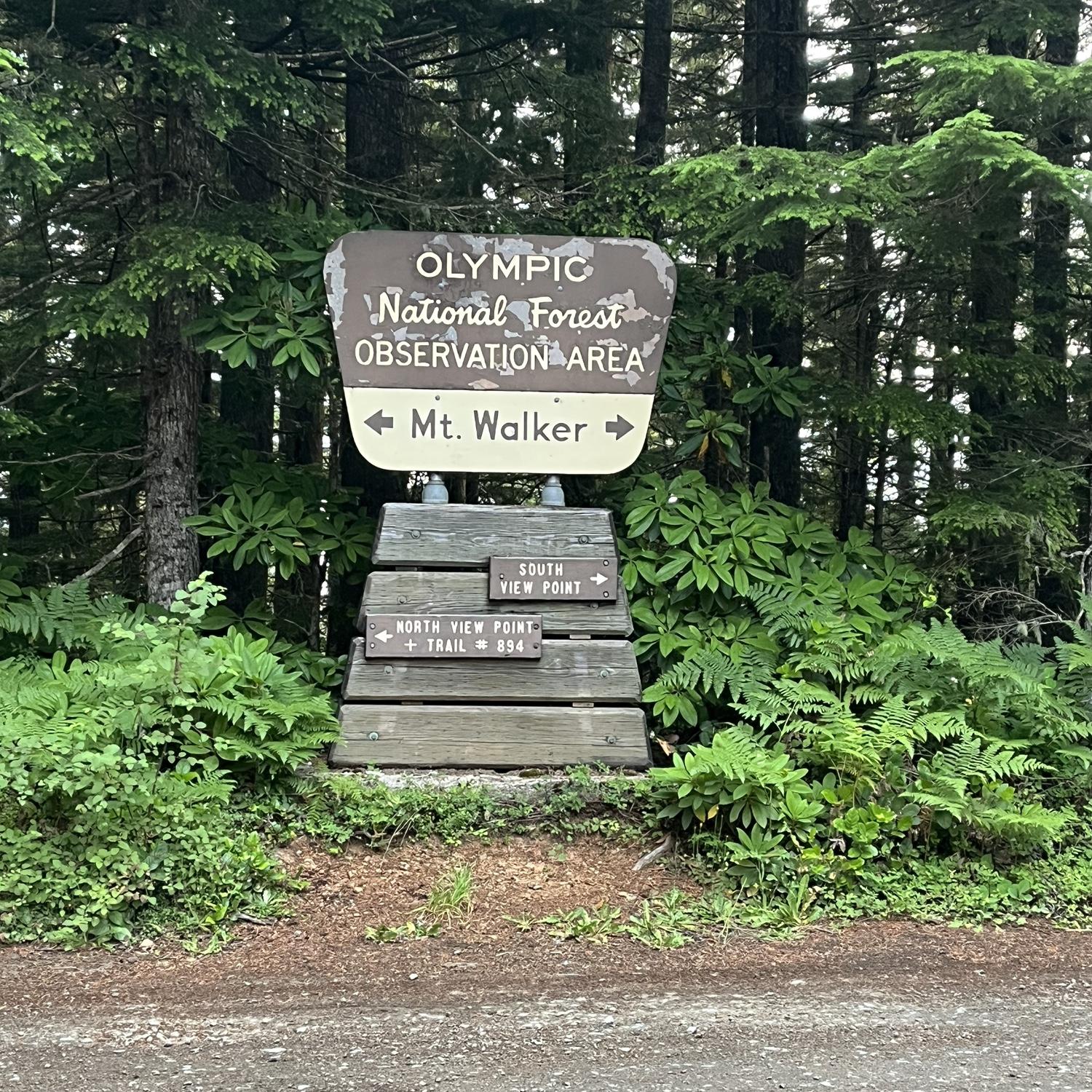 At the top of Mt Walker the road splits, head left to the north viewpoint.