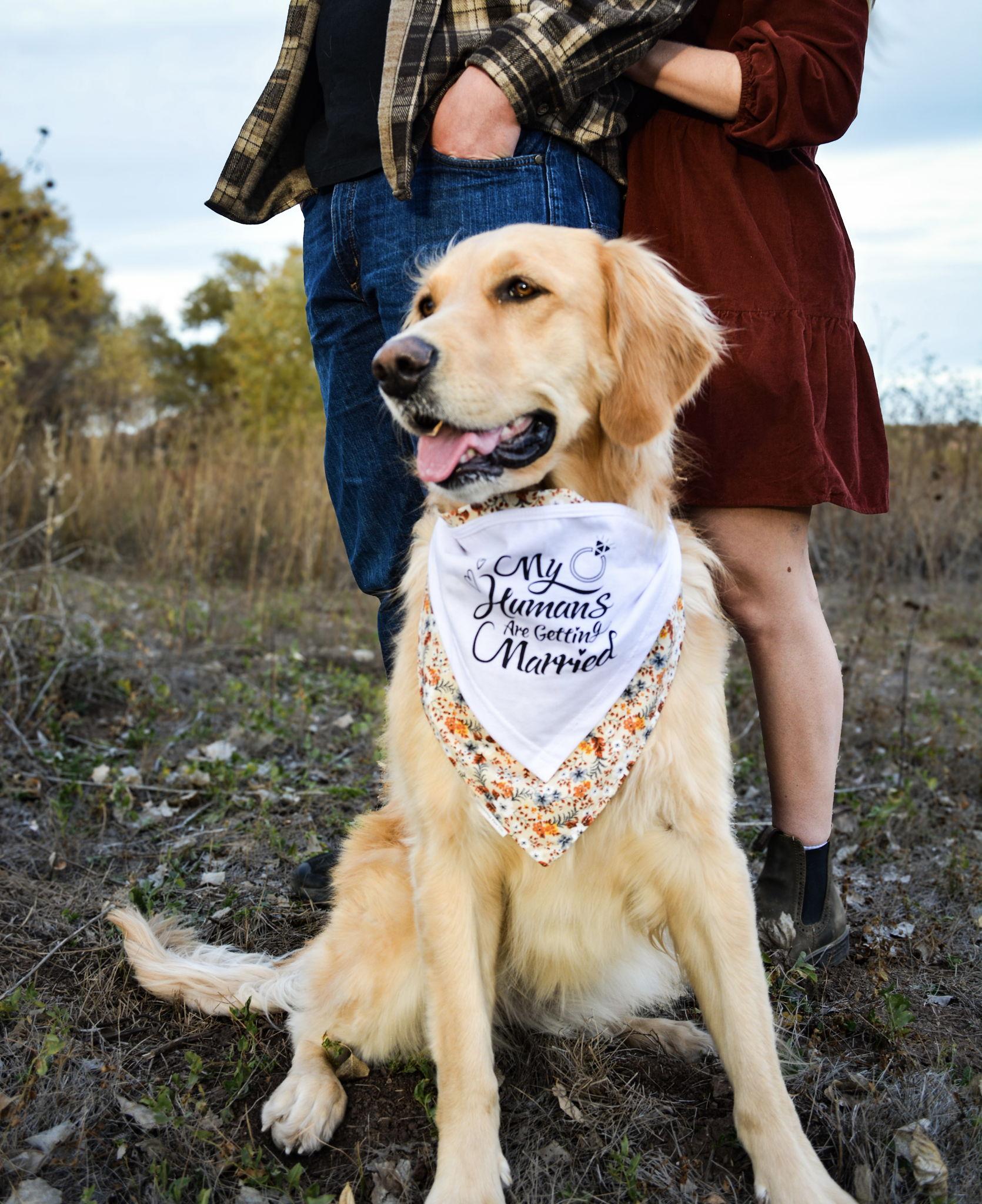 The Wedding Website of Hannah Sanford and Mitchell LoBue