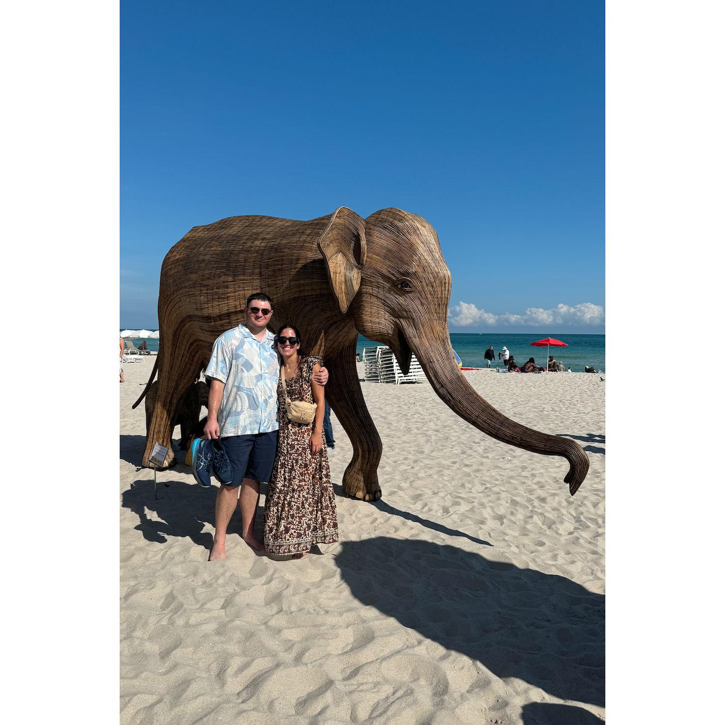The Great Elephant Migration, Art Basel 2024