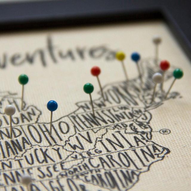 USA Travel Push Pin Map