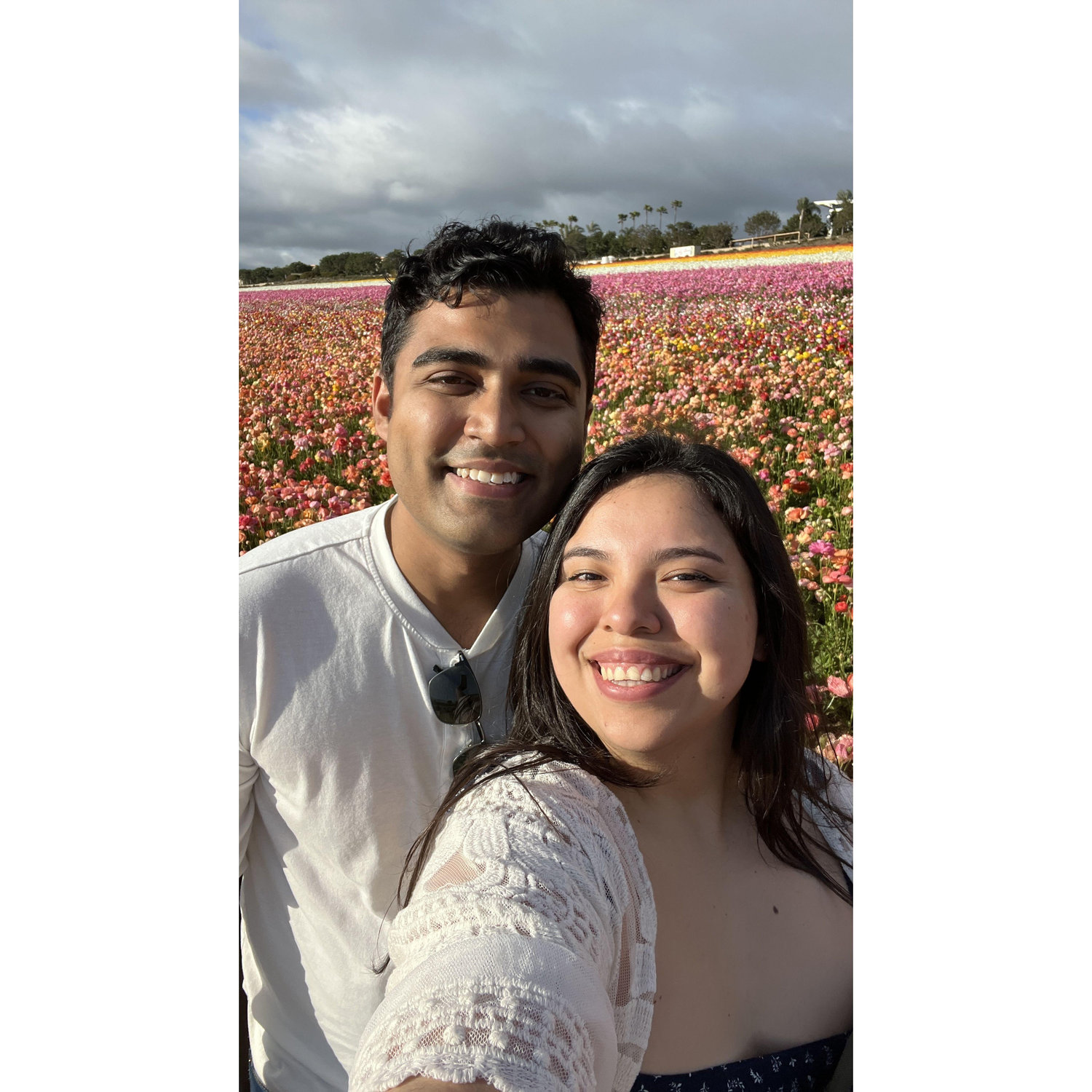 Field of Flowers