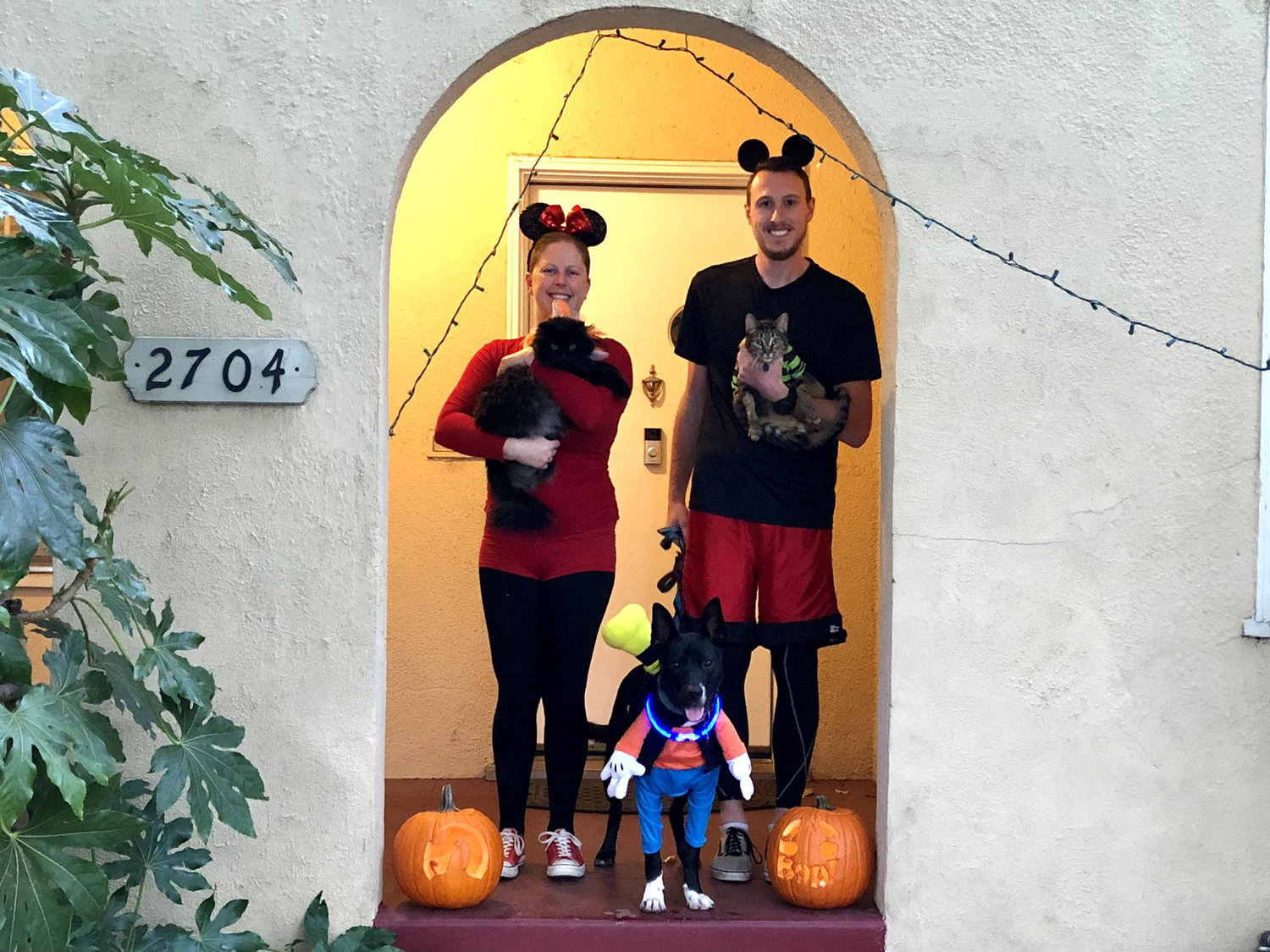 Halloween 2020 with all of the animals (Layla, Lady Sif and Kona).