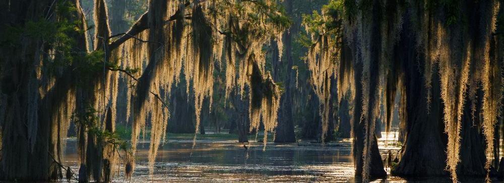 The Wedding Website of Alexandra Pharr and Michael Hembrough