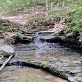Eagle Scout Trail Head