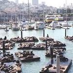 Fisherman's Wharf