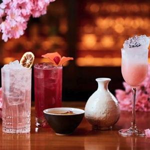 Buy us a Drink! Kanpai (Cheers!)