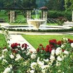 Loose Park Rose Garden