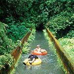 Kauai Backcountry Adventures