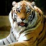 Hattiesburg Zoo