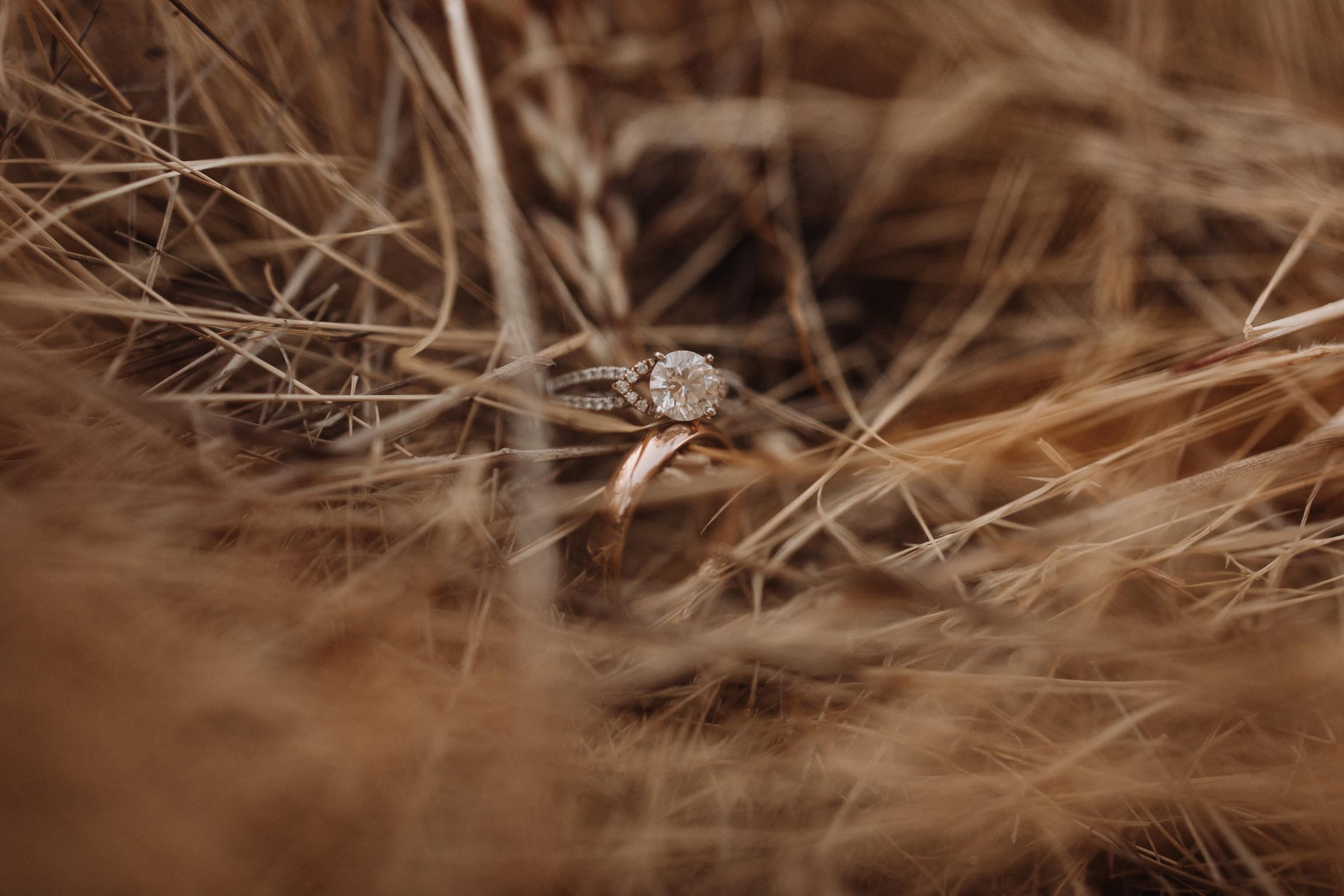 The Wedding Website of Madeleine Jeffers and Niko Tomooka