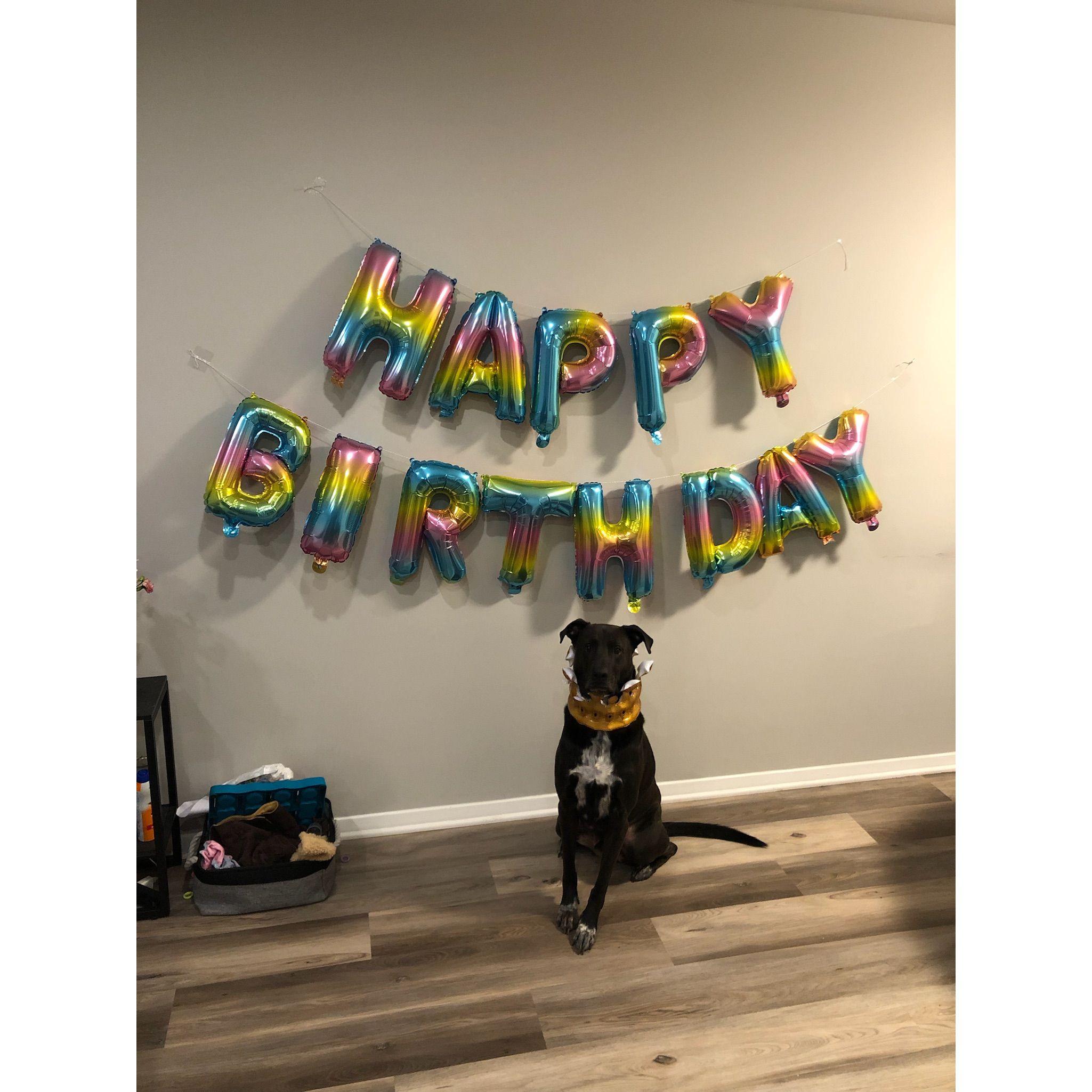 Shaka's 4th birthday party