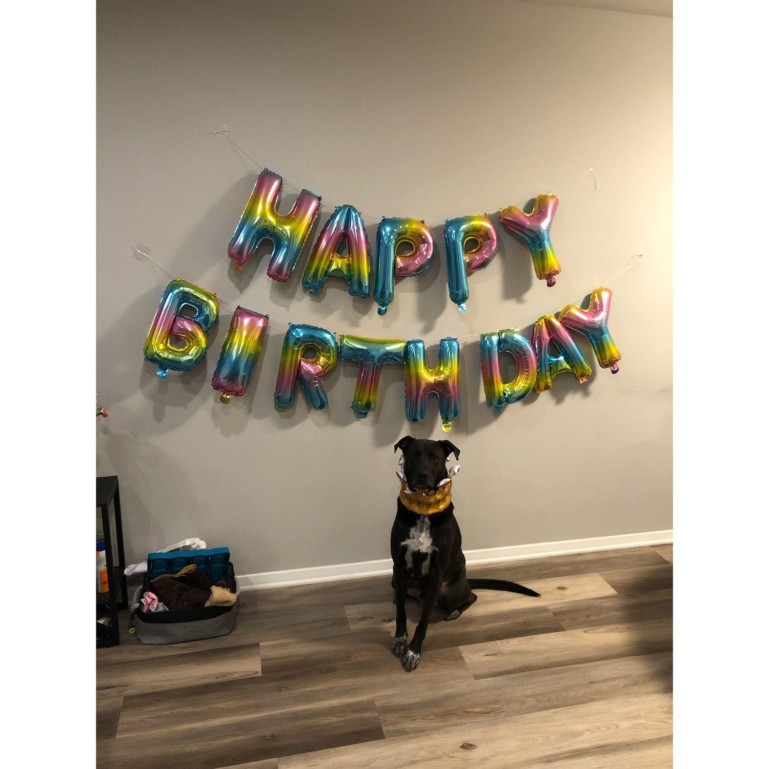 Shaka's 4th birthday party