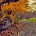 Natirar Park Trail
