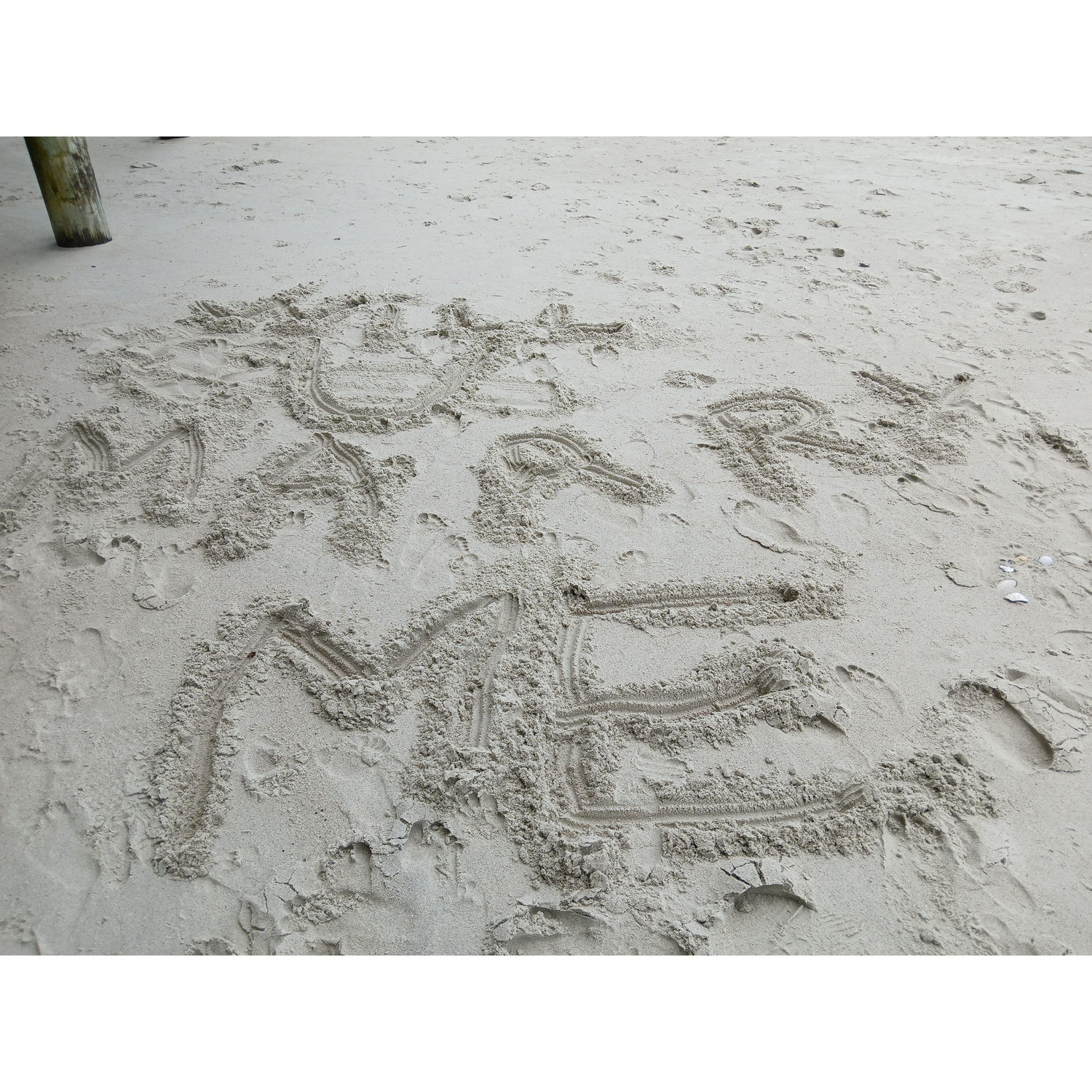 Myrtle Beach by the Pieere Dustin proposed right by the ocean!!!