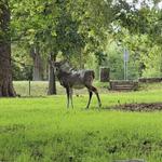 Panther Canyon Nature Trail