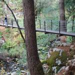Deer Creek Tribute Trail