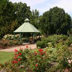 UT Gardens