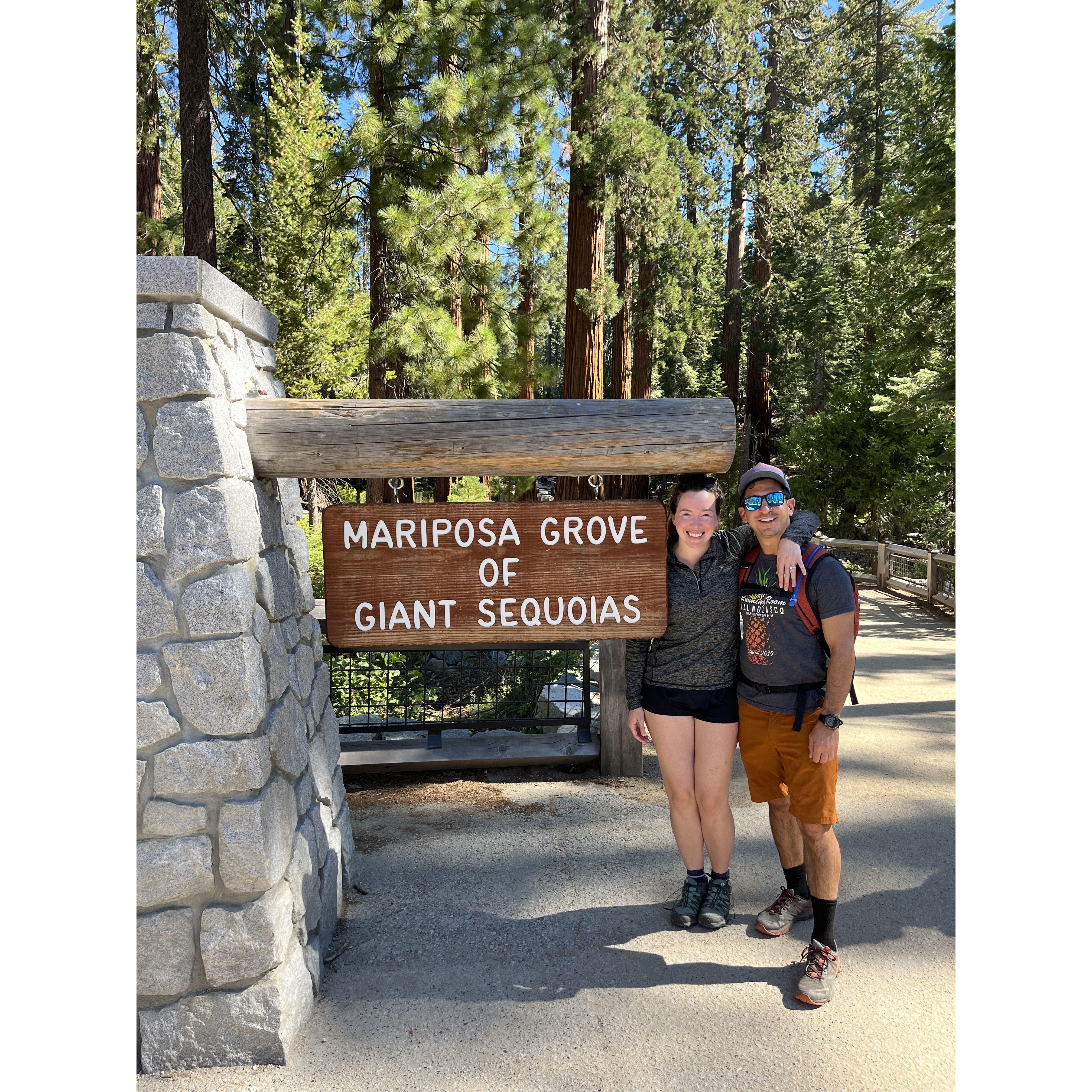 Enjoying a stroll through the Redwoods as a newly engaged couple <3
