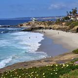 Beach Day!