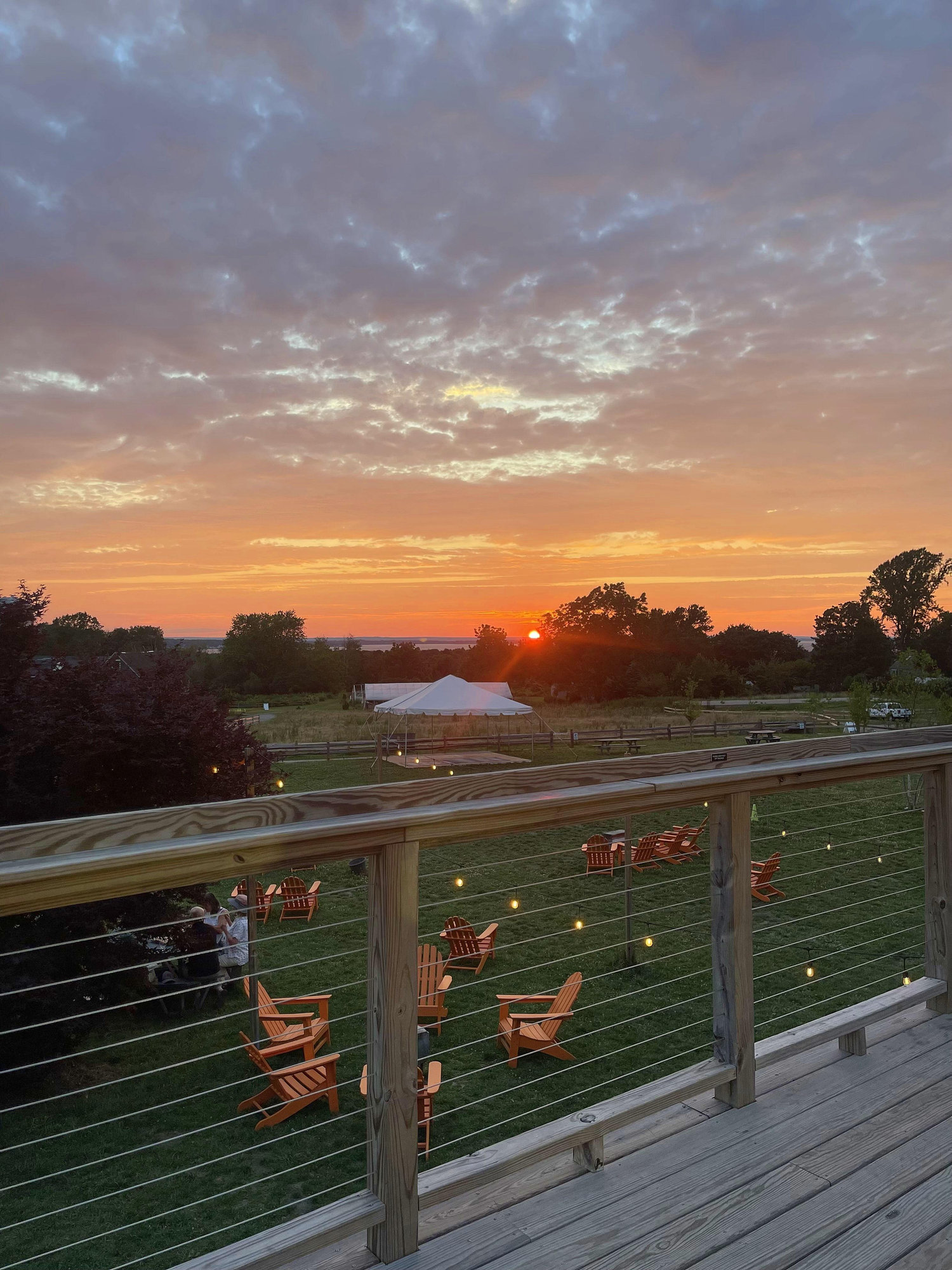 The Wedding Website of Evan Martin and Alee Martin