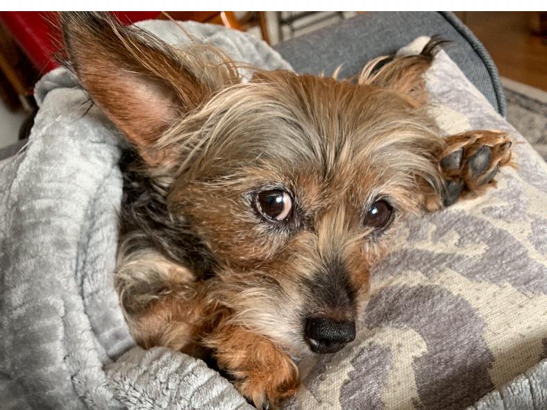 The Wedding Website of Julia Aldrich and Gabe Carr