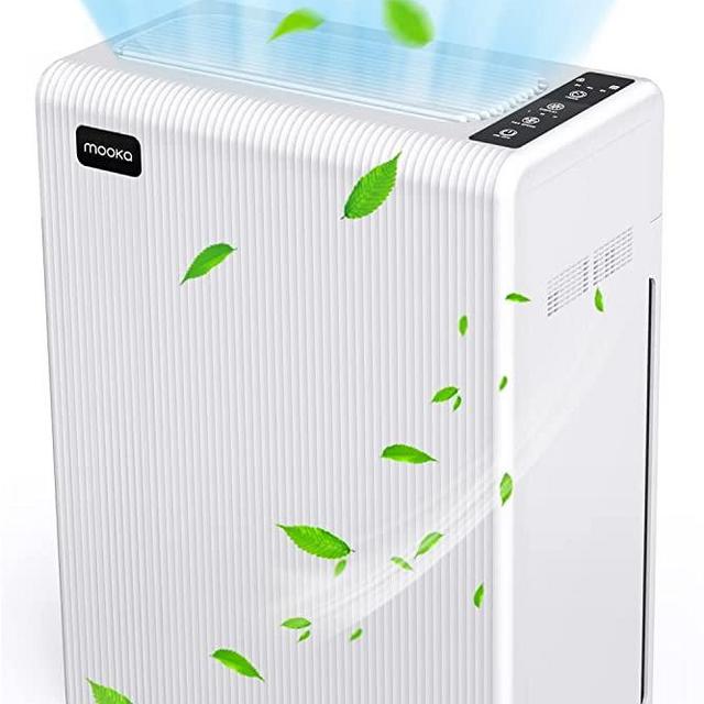 Air Purifiers for Home Large Room up to 969ft², H13 HEPA Air Filter for Pets Hair Dander Smoke Pollen Dust, Ozone Free, Portable Air Purifiers for Bedroom Office Living Room, E-300L, White