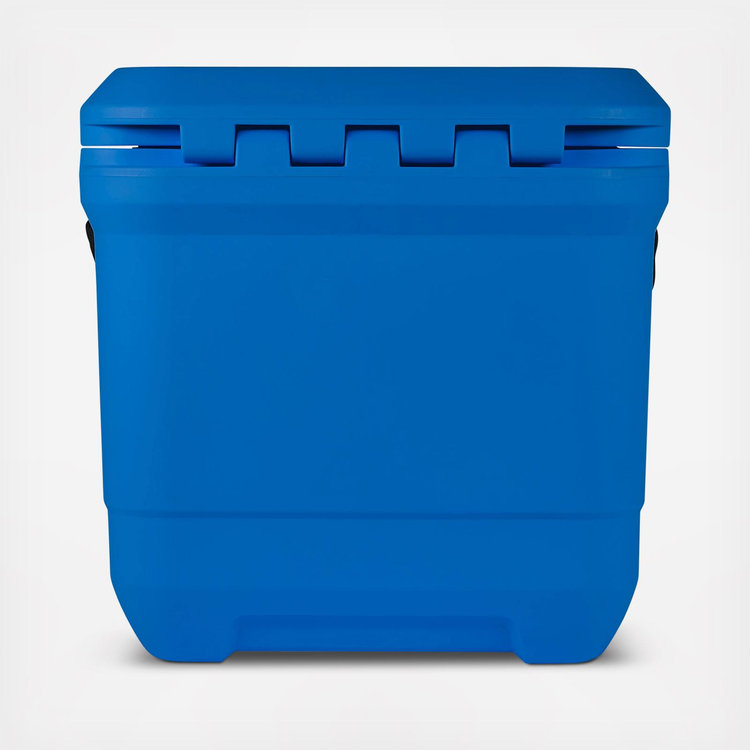 Coleman, Pro 25-Quart Hard Cooler | Zola