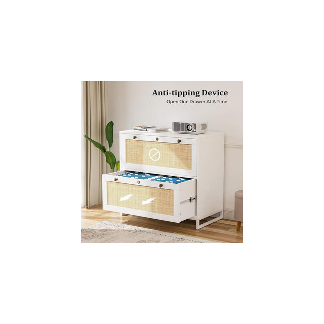Karl Home | 29.5'' Wide 2 -Drawer Real Rattan File Cabinet