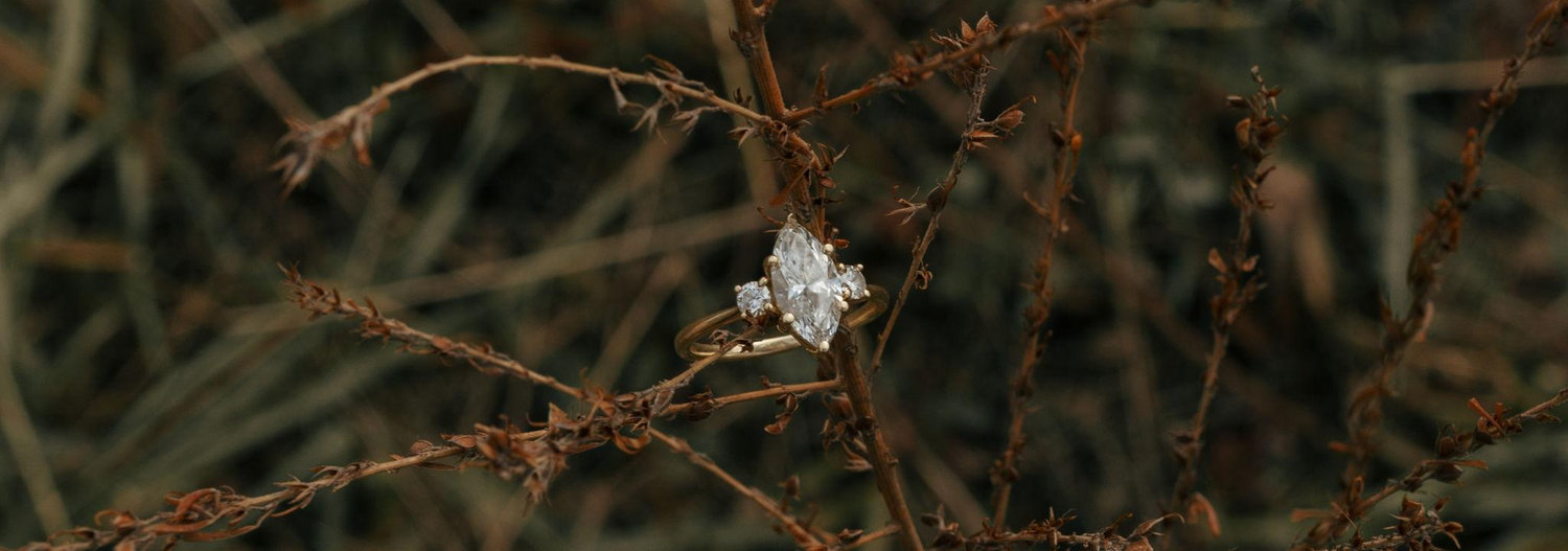 The Wedding Website of Mackenzie Collins and Cameron Beulah