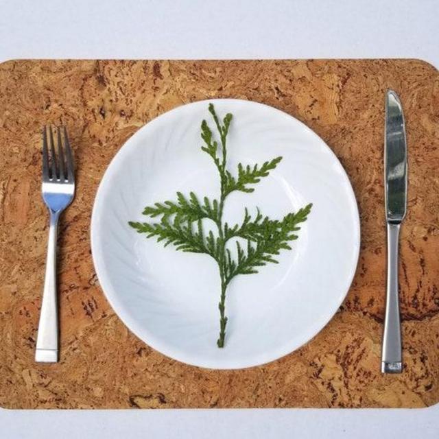 Set of 8 Cork Placemats