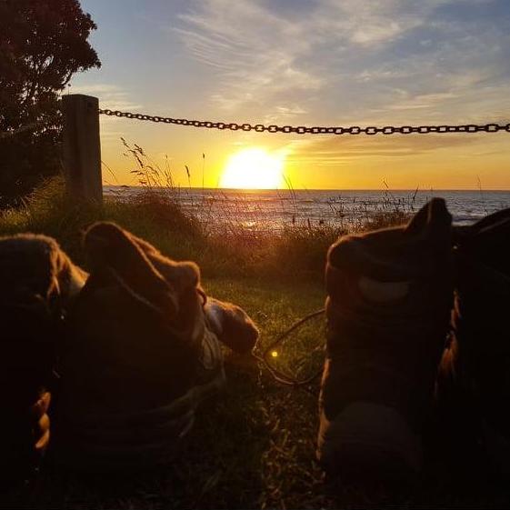 Sunset at Cape Palliser.