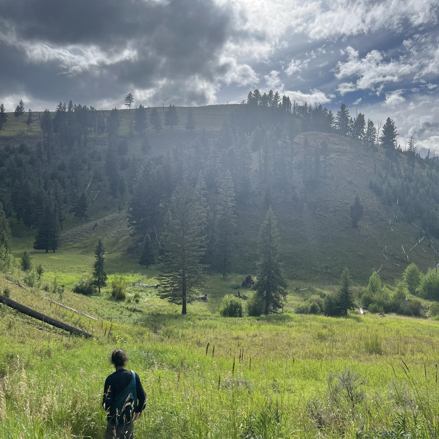 Hiking in Yellowstone with Sam ❤️