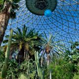 Mitchell Park Domes Horticulture Conservatory