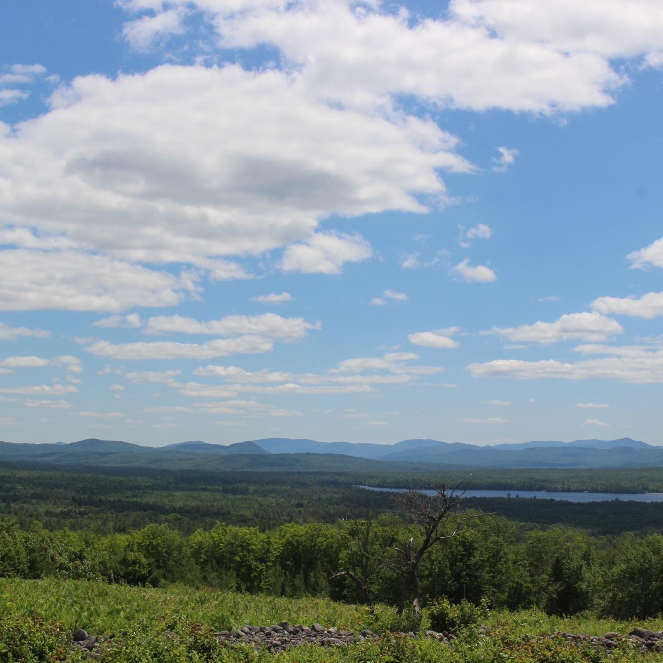 Beautiful mountains in Maine and also where we took out engagement pictures.