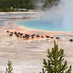 Yellowstone National Park