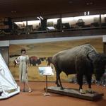 Nebraska Prairie Museum