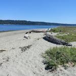 Anderson Point Park