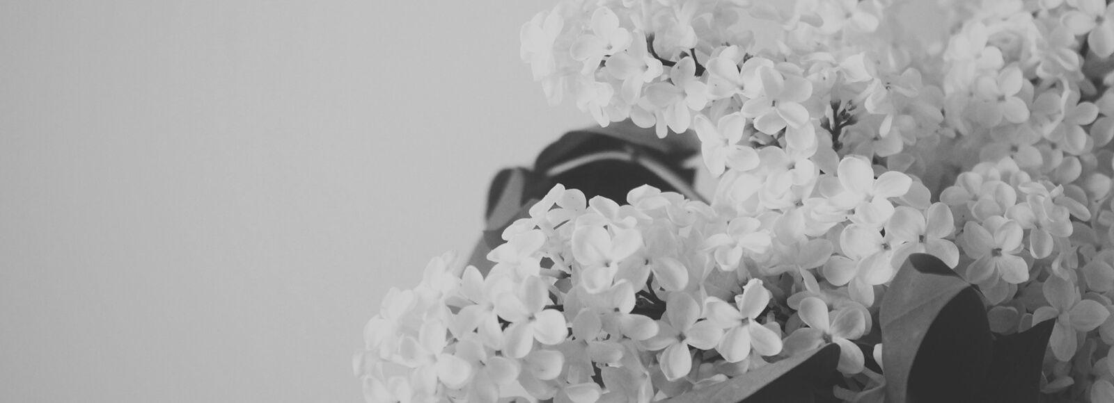 The Wedding Website of Lauren Veach and Chris Weiand