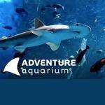 Adventure Aquarium
