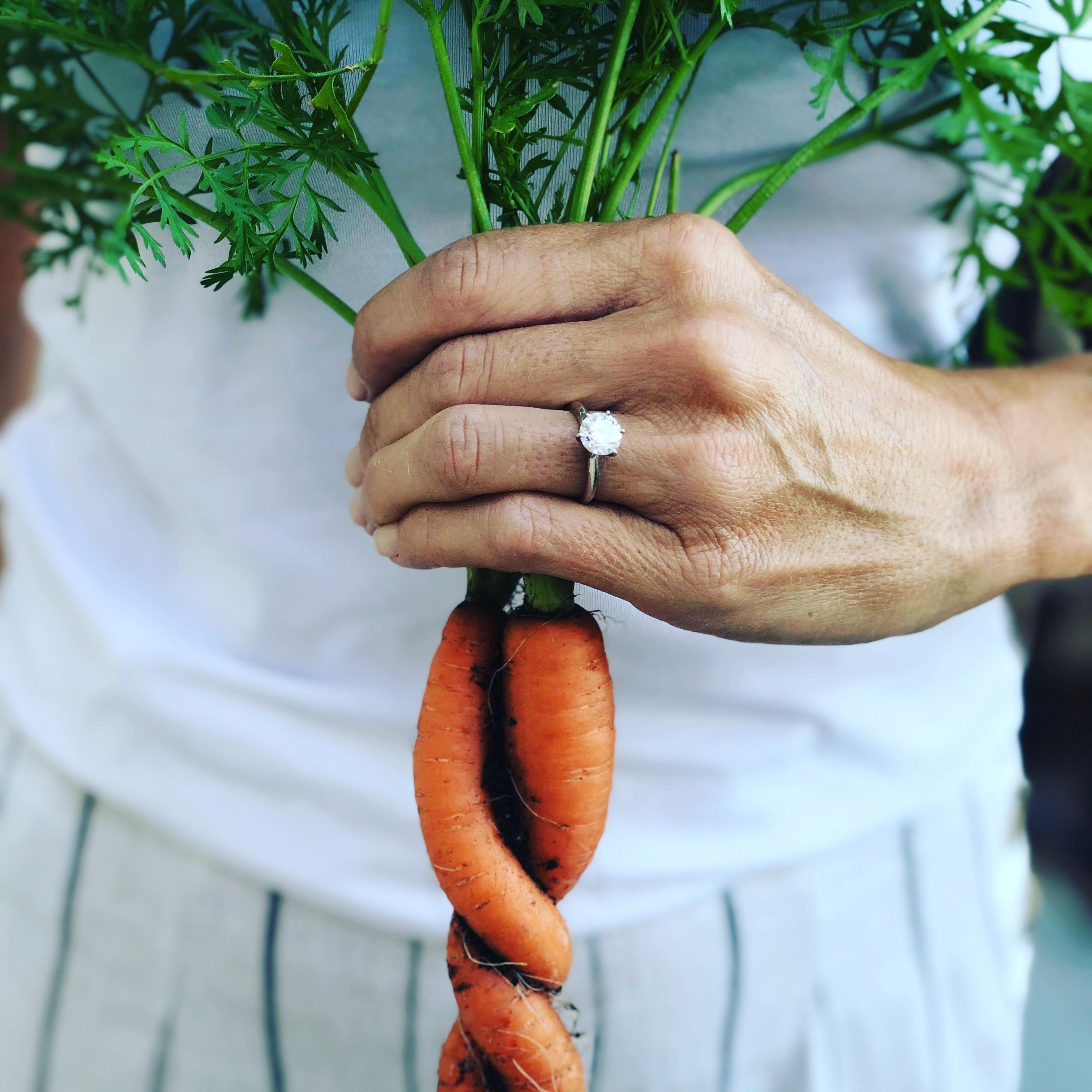 A two carrot engagement.