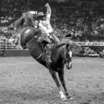 San Antonio Stock Show & Rodeo