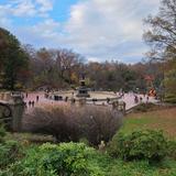 Central Park