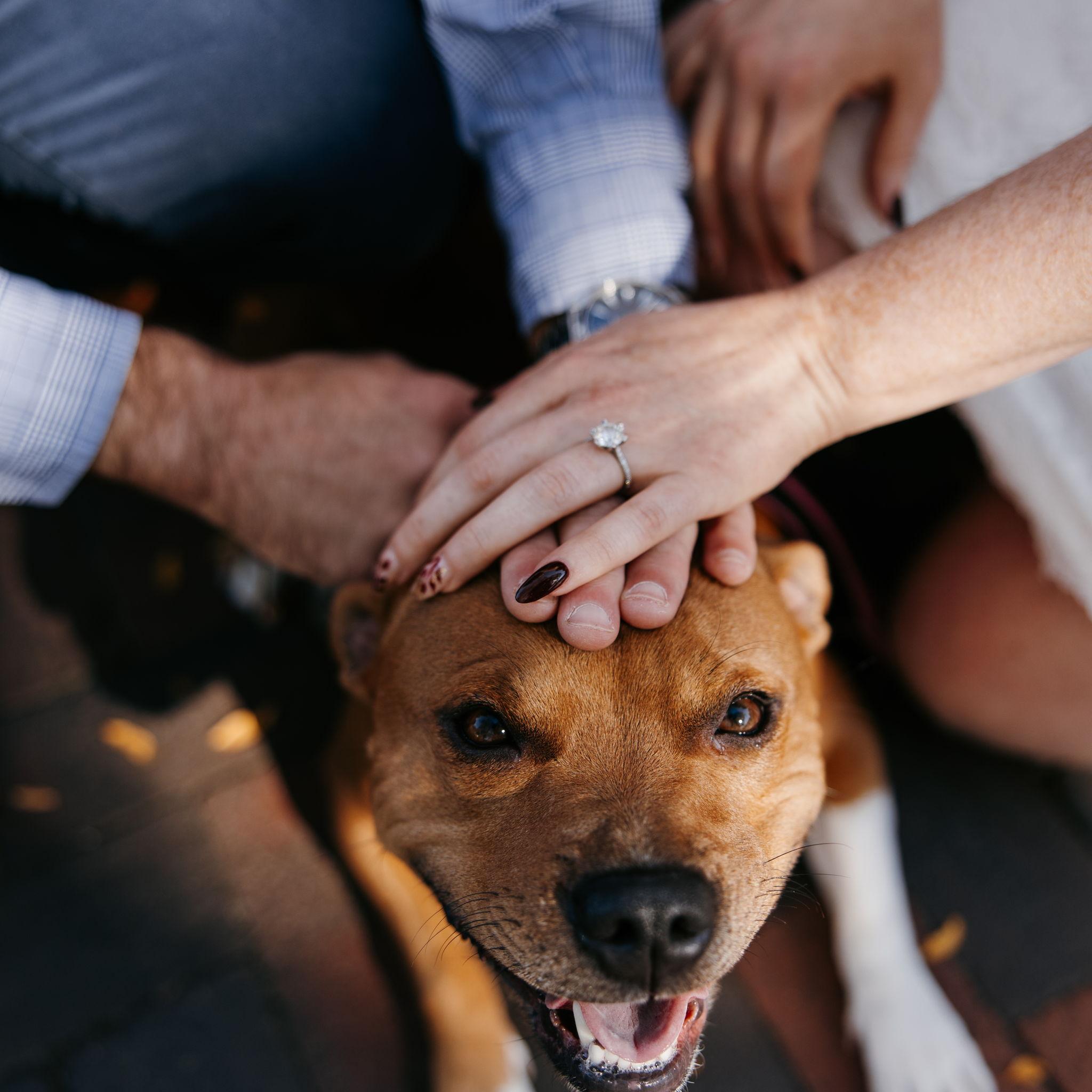 Kaia's shining moment during engagement photos
