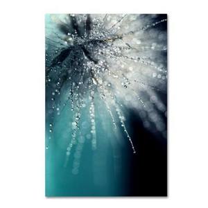 Trademark Fine Art - Morning Sonata' by Beata Czyzowska Young Ready to Hang Canvas Wall Art