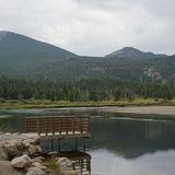 Lily Lake