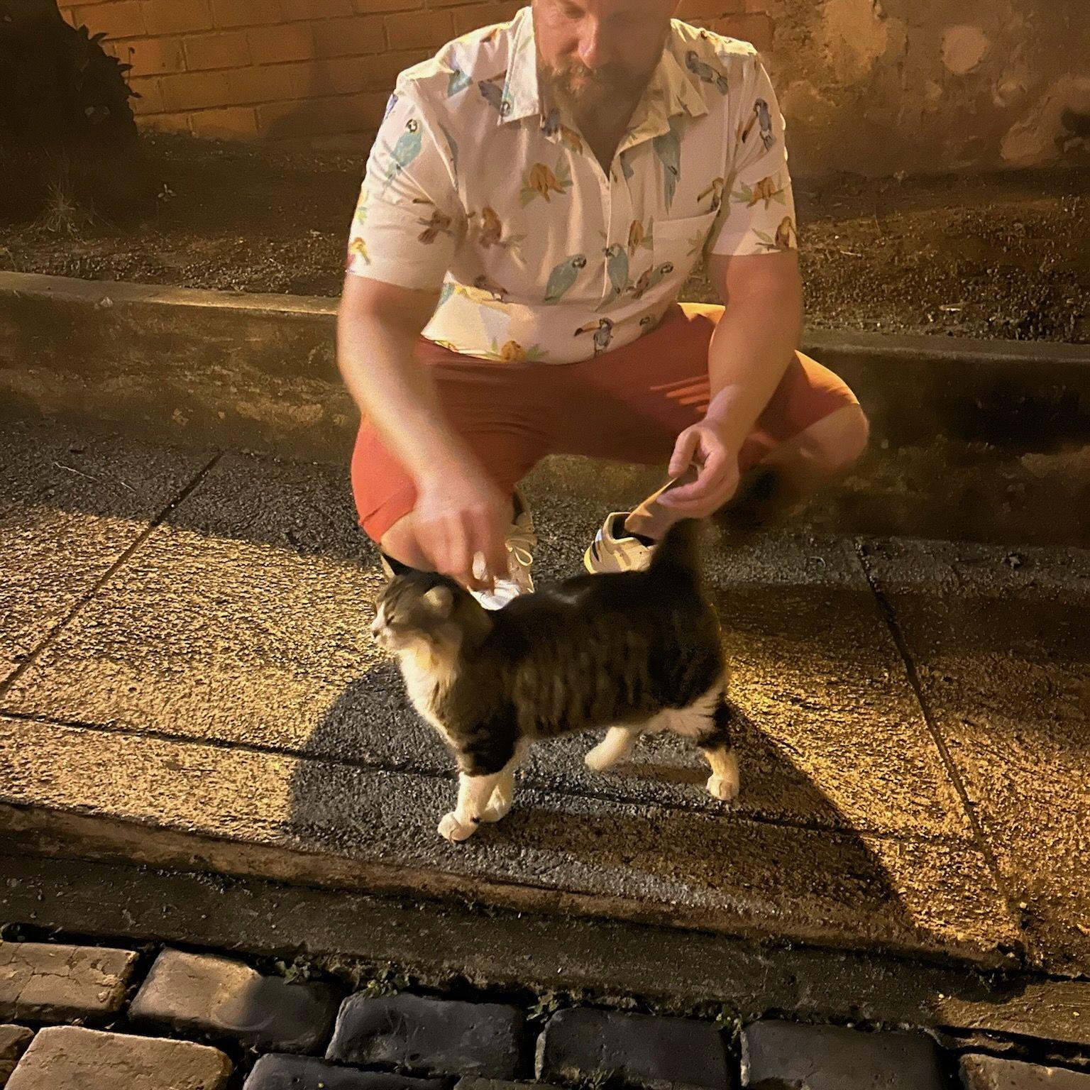 Joe <3s cats